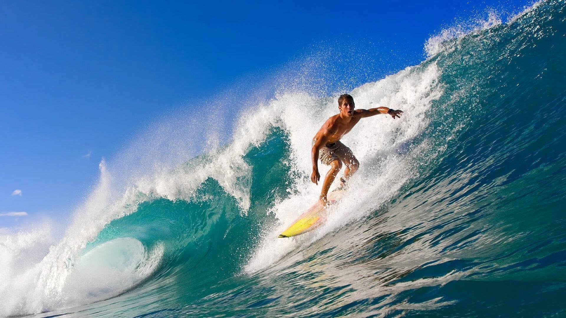 拜仁女足3-1力克弗赖堡 提前两轮加冕德国女子联赛冠军